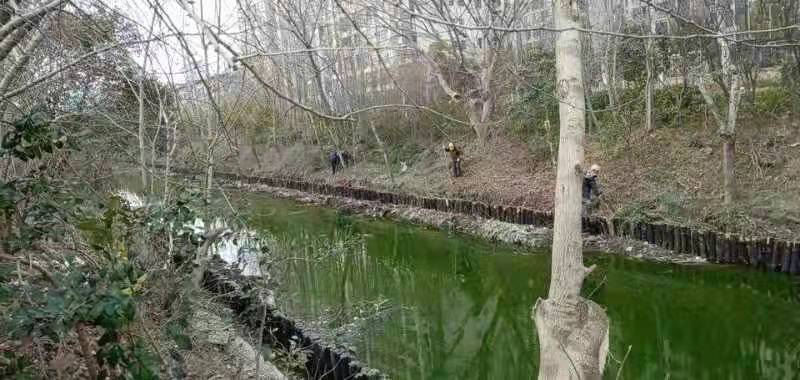 河道清淤施工方案(一)