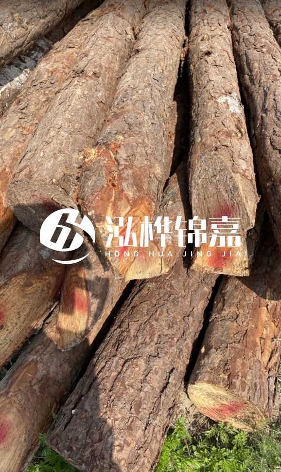 <strong>松木樁和杉木樁的用途區(qū)別？哪個更適合打樁用？</strong>