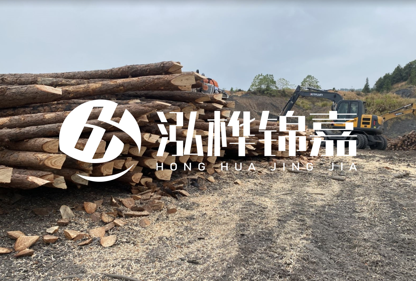 松木樁尾徑是什么意思？