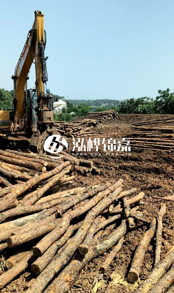 江門松木樁源頭廠家-河道木樁的防腐處理有哪些方法?