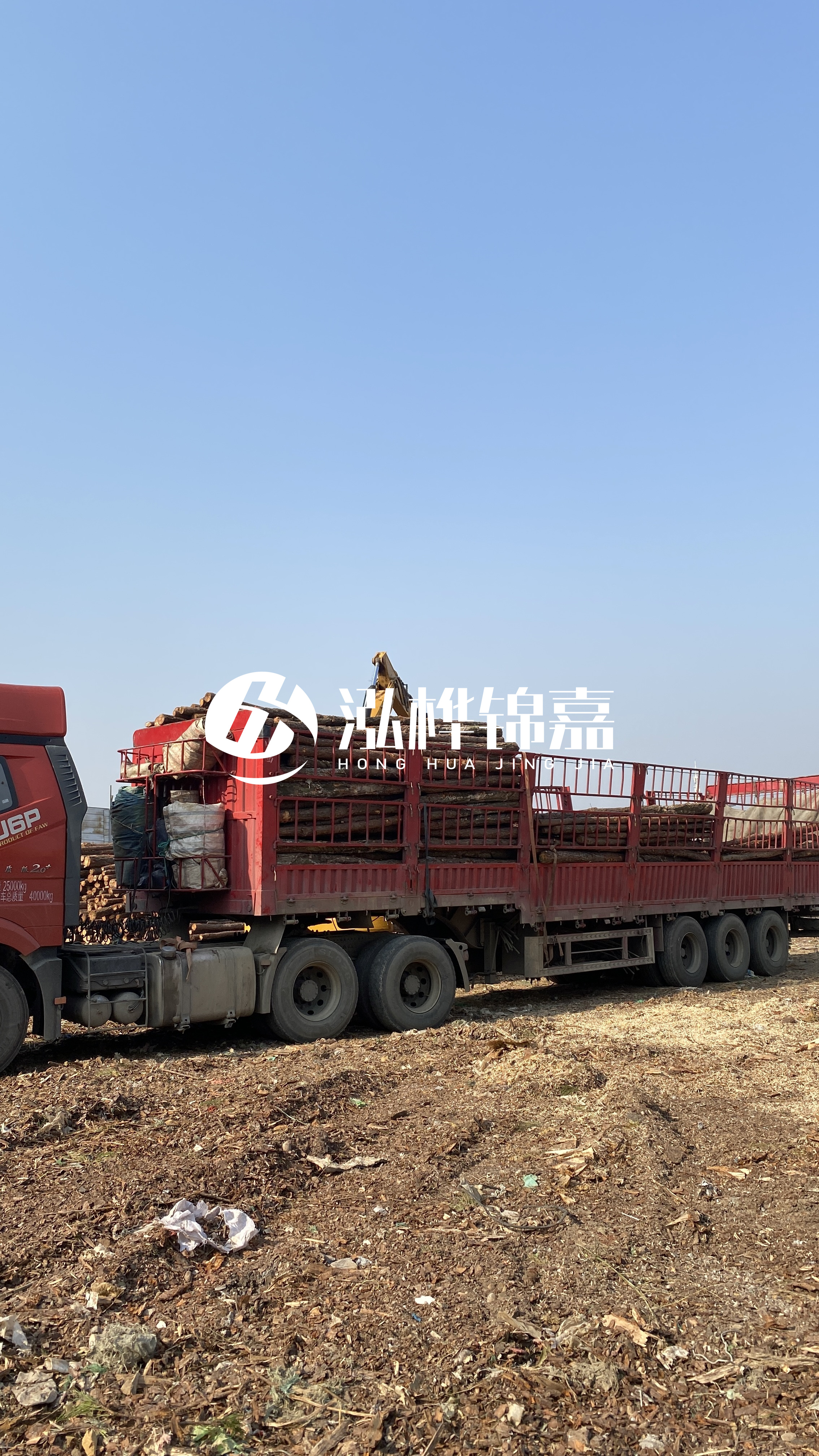 蘭州松木樁批發源頭廠家-落葉松與濕地松的主要區別?