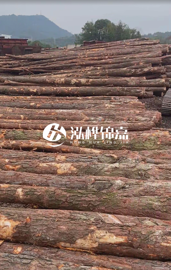 哪里有質量可靠的松木樁廠家推薦?快進來瞧瞧!