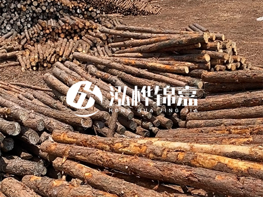 浙江打樁木源頭廠家泓樺錦嘉-松木廠家批發(fā)電話地址？