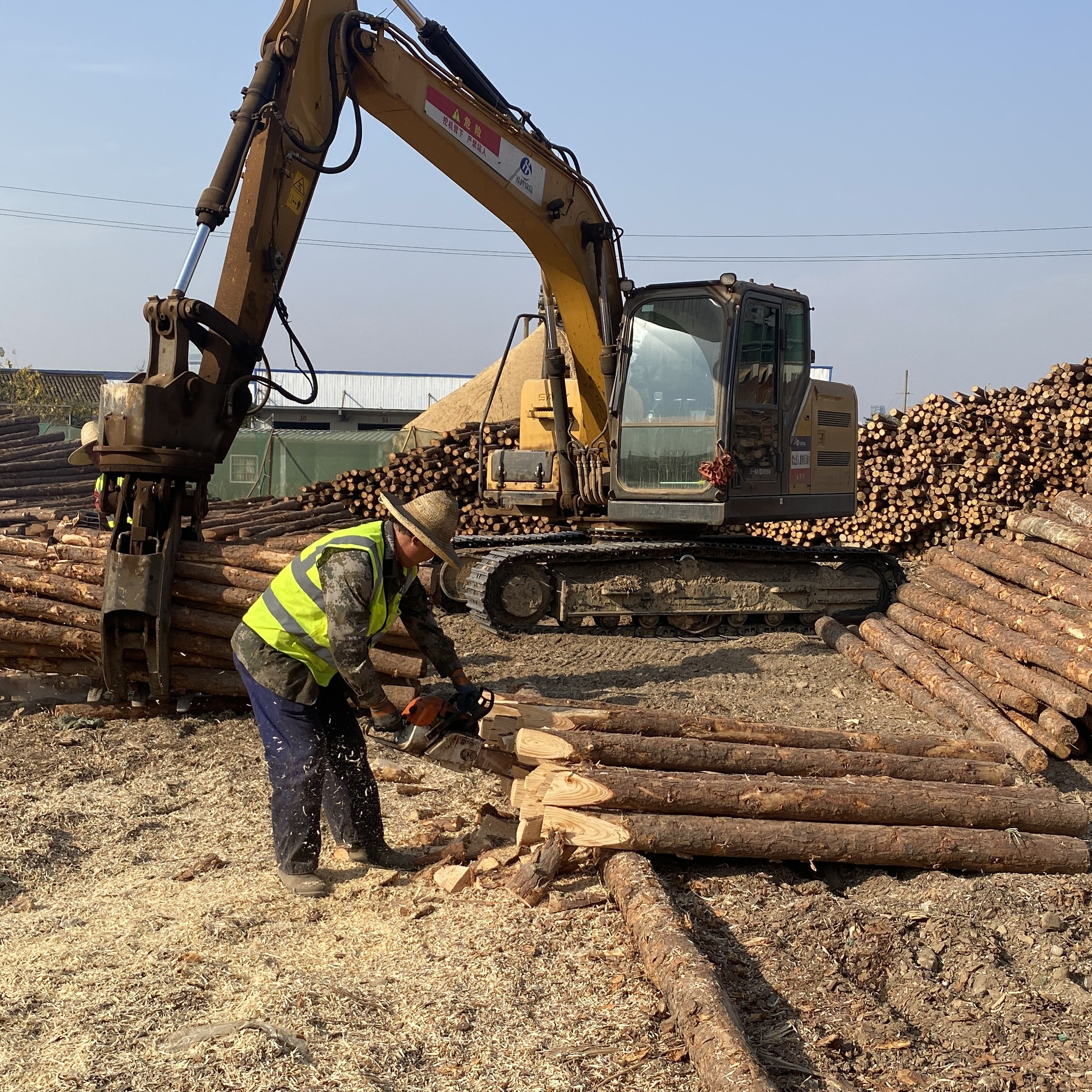 松木樁廠家泓樺錦嘉-工程打樁木選擇落葉松還是濕地松更耐腐蝕?