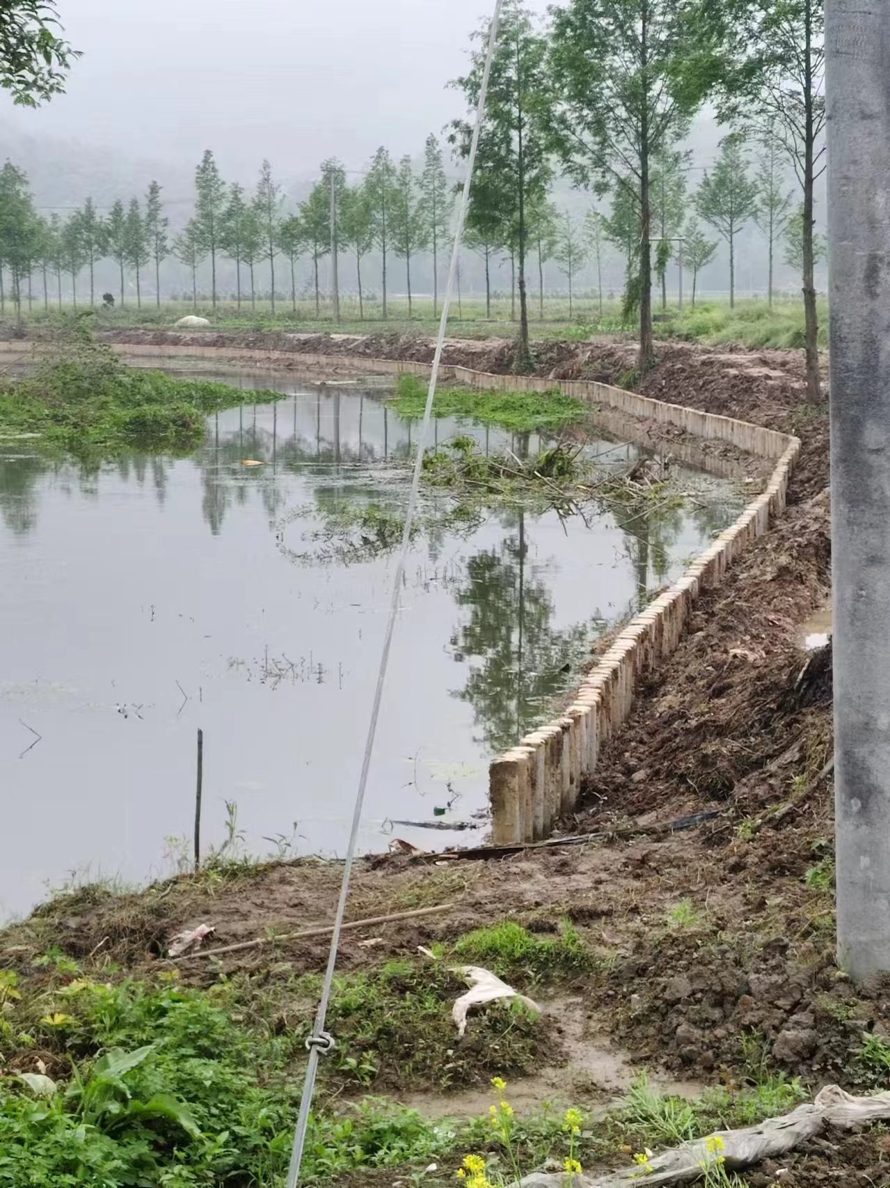 水泥仿木樁施工隊泓樺錦嘉 - 仿木樁施工多少錢一米？