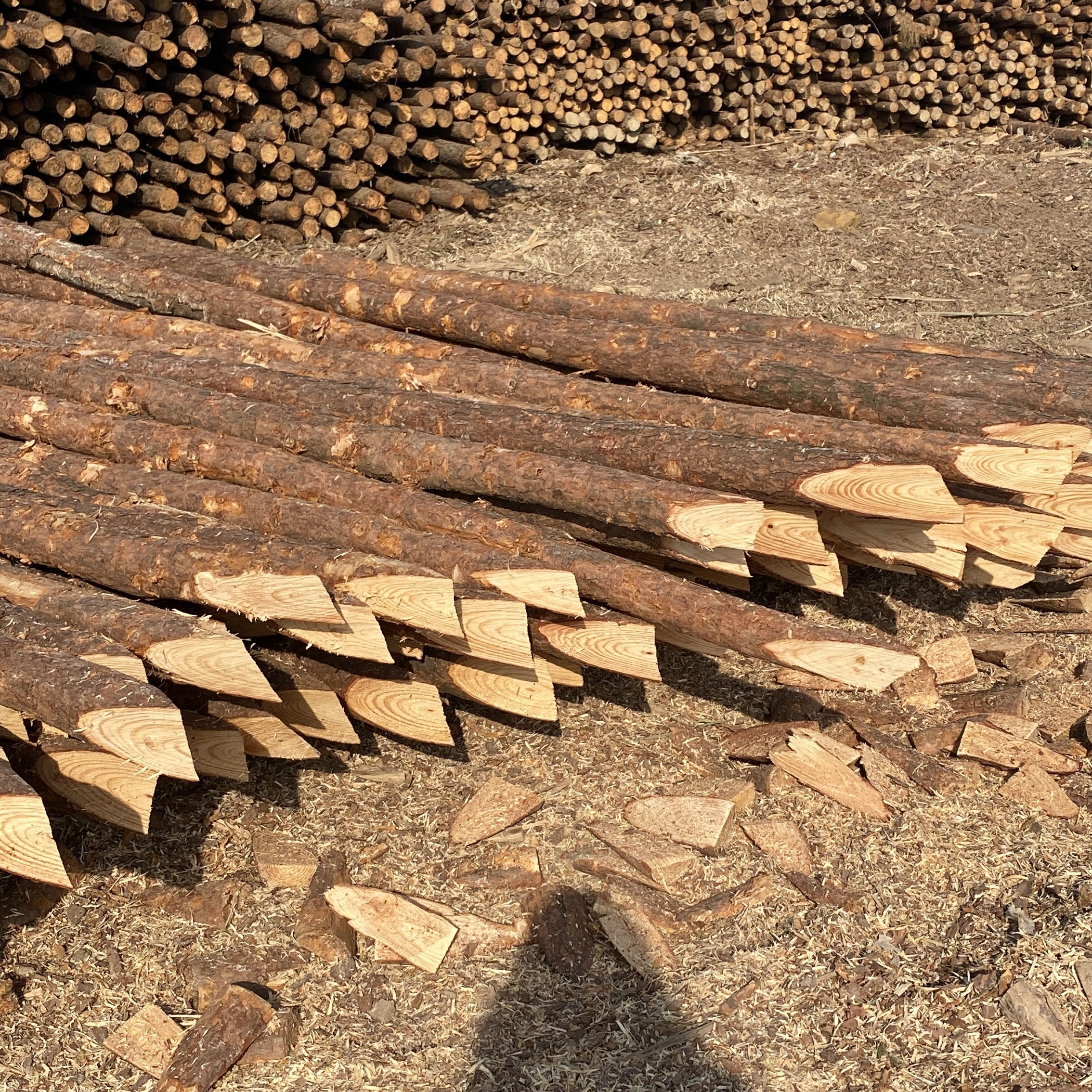 松木樁施工隊泓樺錦嘉-樁與樁之間的距離要求?