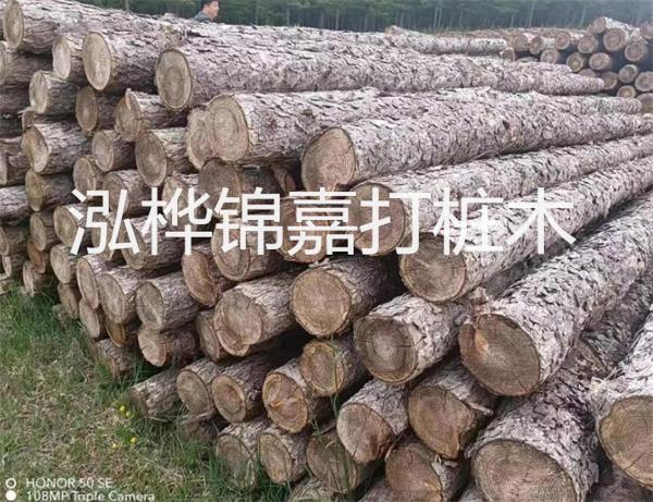 高效修補(bǔ)，保駕護(hù)航！水泥路面高強(qiáng)度修補(bǔ)料為您解決煩惱！