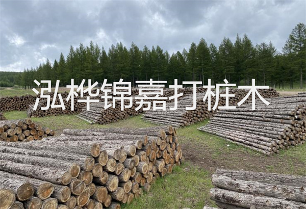 預(yù)制松木樁施工工藝:優(yōu)質(zhì)材料,高效快速,堅(jiān)固耐用