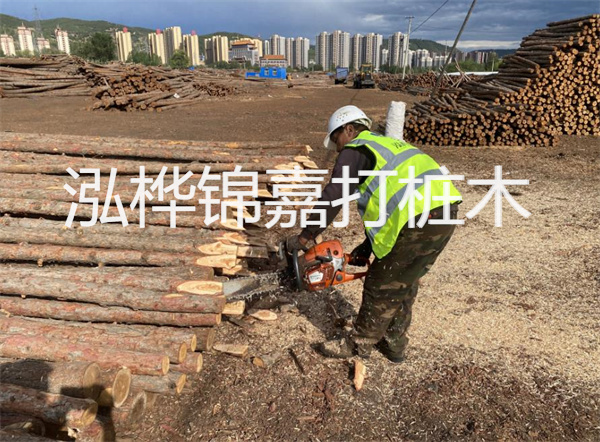 白蘭花怎么養,白蘭花怎么養才能開花多?