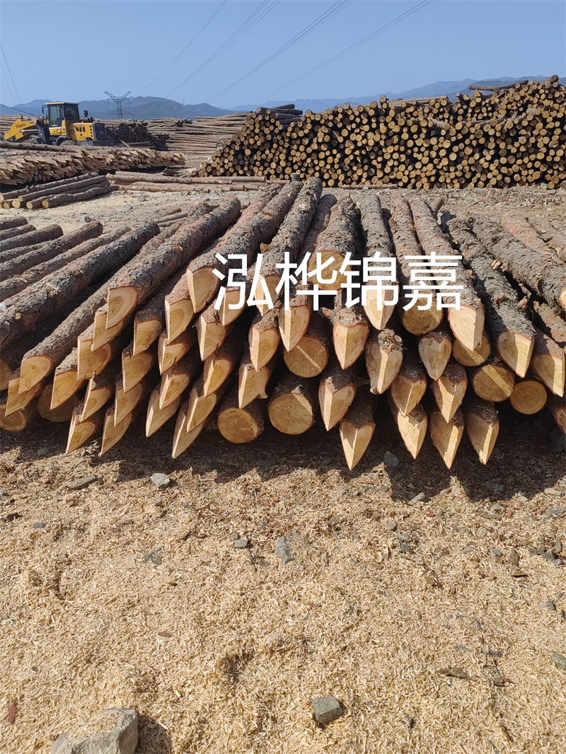 外松木樁五米什么價