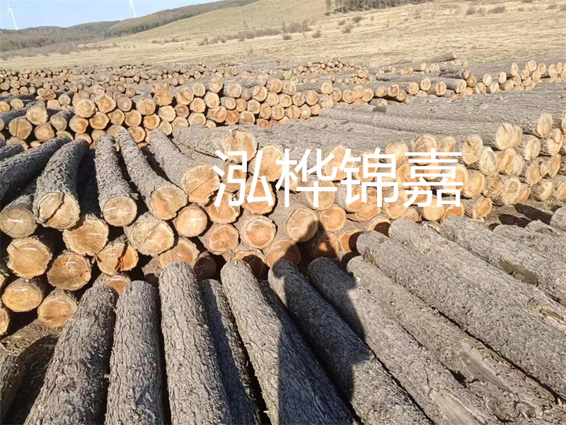 金杉木板材：輕好、重好的選擇